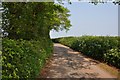 Mid Devon : Country Road in EX15 1PW
