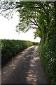 Mid Devon : Countryside Road in EX15 1PW