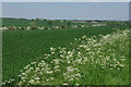 Farmland near Newton Bromswold in MK44 1AW