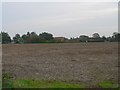 Another Fallow Field in NR20 4PY