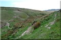 Paths meeting in Sheepfold Clough in S6 6JE