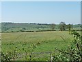 Farmland east of Bottom House Farm in ST13 7QJ