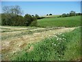 Corner of a recently mown hayfield in ST10 2HW