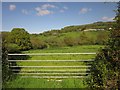 Meadow in the Luppitt valley in EX14 4UF