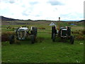 Old tractors at Earlish in IV51 9XL