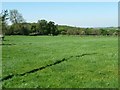 Farmland north-west of the road to Foxt in ST10 2HR