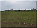 Uncultivated field, and houses in S80 4HS