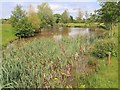 Lake on the golf course in CV35 7PH