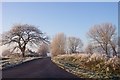 Hoar frost scene in PE14 0LP