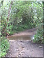 Small ford on a track at Wheal Frances in TR4 9LH