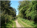 Bridleway 'The Hilly' towards Thornley in Thornley