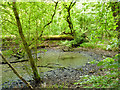 Pond by the bridleway in GU8 4AS