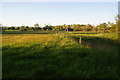 Fields in evening light near Balderstone in BB2 7LS