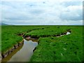 Marshes north of Wigtown Sands in DG8 6BE