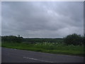 View from Gamlingay Road, Potton in SG19 2RQ