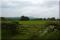 A gate and fields to the north of the A6061 in BB2 5JA