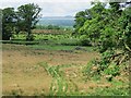 Wetland field, Boquhan in G63 0RW