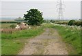 Farm Track with Pylons beyond in NG23 5TU