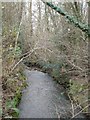 The stream from Hart's Bridge in BH21 7JN