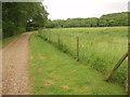 Track to Stocking Wood Farm in SG13 8LW
