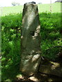 Old Gatepost with Benchmark in YO62 5HL