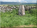 Ordnance Survey Trig Pillar 10740 in CA16 6QA