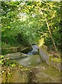 Old millrace at Park Mill Farm in GU28 9LA