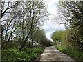 Bridge over River Tamar at Virworthy Wharfe in EX22 7LB