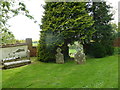 Parish church at Gussage All Saints: churchyard (2) in BH21 5HE