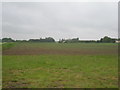View towards Springfield Farm near Walpole Cross Keys in PE34 4HA