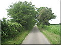 Lane to Brandiston Common in NR10 4PQ