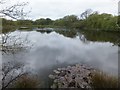 Small lake beside Lower Tamar Lake in EX22 7LB