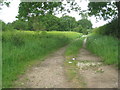 Footpath and shortcut at West Lexham in PE32 2BZ