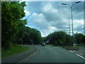 Birchwood Park Avenue roundabout in WA3 6AU