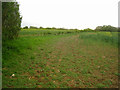 Farmland north of Wigdell Copse in GU34 5RS