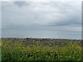 Shoreline near Grennan in DG9 9HA
