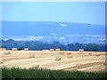 Bales of straw with White Horse of Kilburn in the distance in YO7 2BY