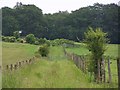 Overgrown track between fields in SO20 6QL