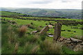 Redundant gateposts above Rossendale in BB4 7DY