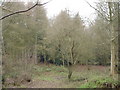 Brach Copse in BH21 4JS