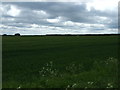 Farmland off Normanby Cliff Road in LN8 2AE