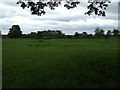 Grazing land near Upton in DN21 5LY