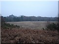 Open land on Holt Heath in BH21 7LB