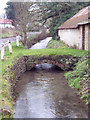 Grass Covered Bridge in SP5 5JS