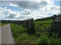 Substantial stone field wall in NE66 2EH