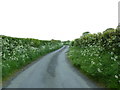 Road southwest of Pant End in Lupton