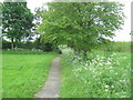 Footpath from Quarrington Hill towards Kelloe in DH6 4NT