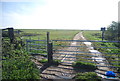 Footpath on to the Allhallows Marshes in ME3 9QJ