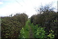 Bridleway near Grain in Grain