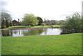 Pond, Belcot Manor Farm in TN30 7DF